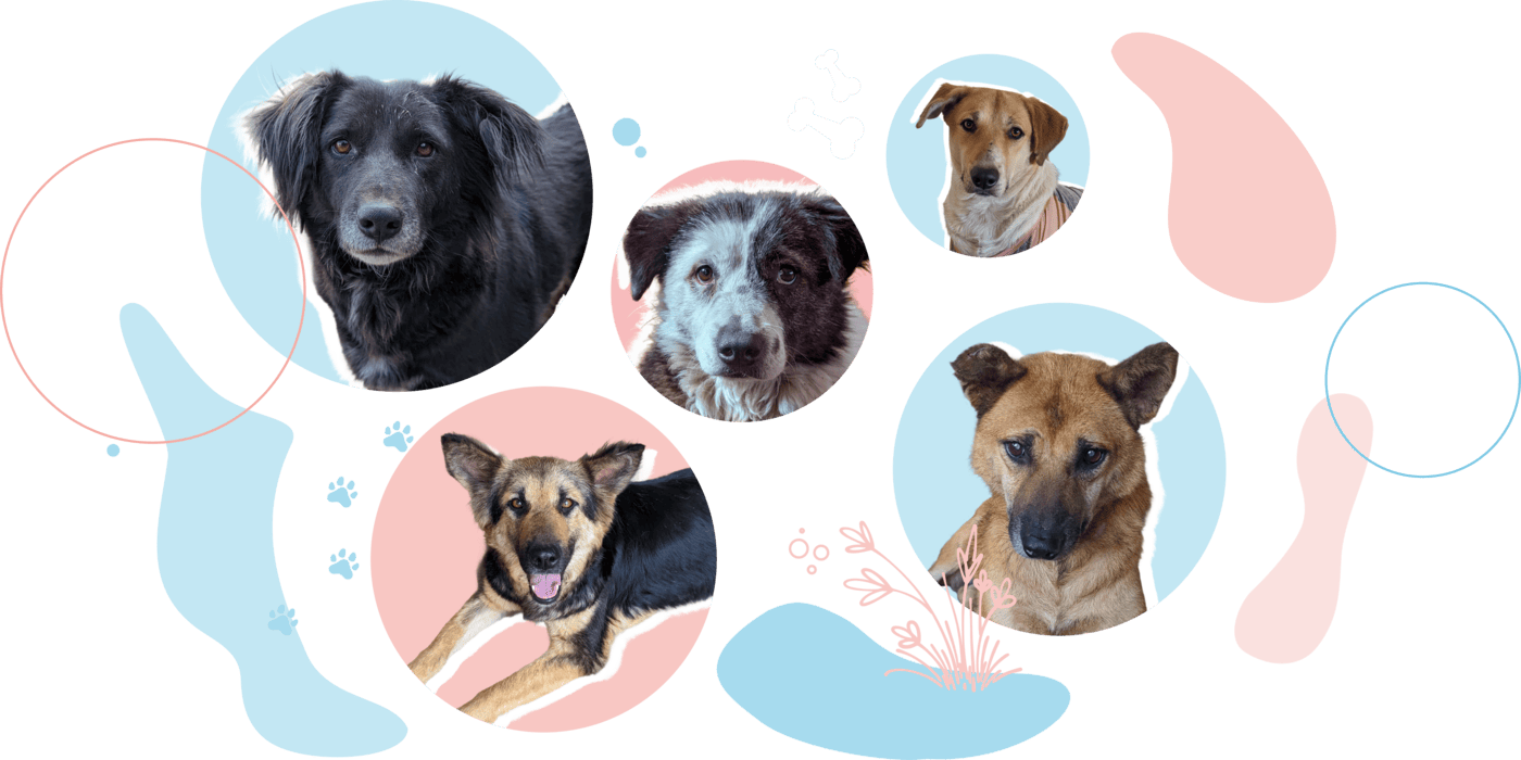 Journey to adoption